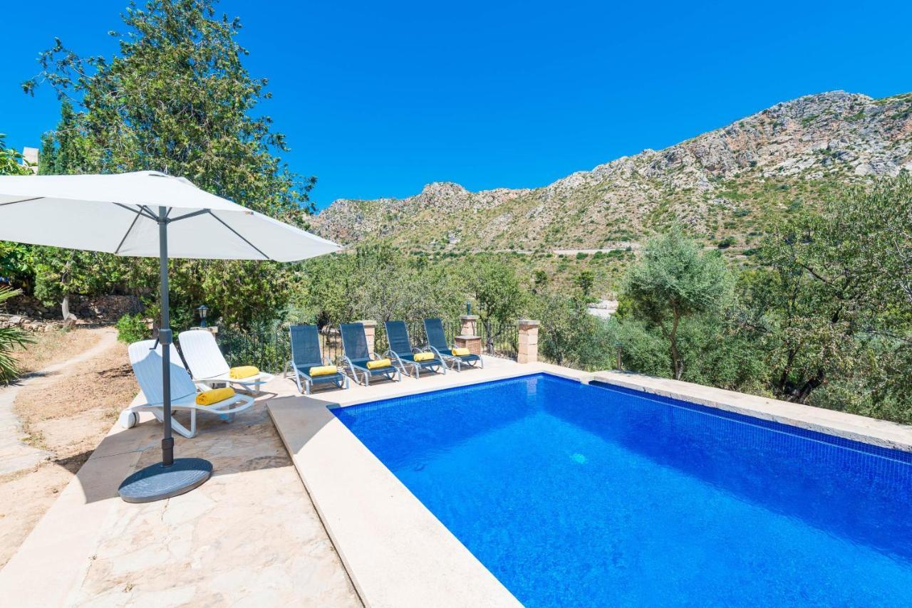 Villa Sa Tarongera Andratx